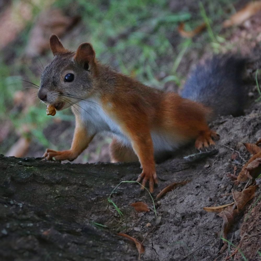 Photograph by Ирина Галеева