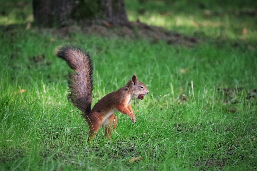Photograph by Ирина Галеева