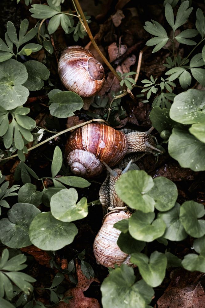 Photograph by Наталья Пахомова