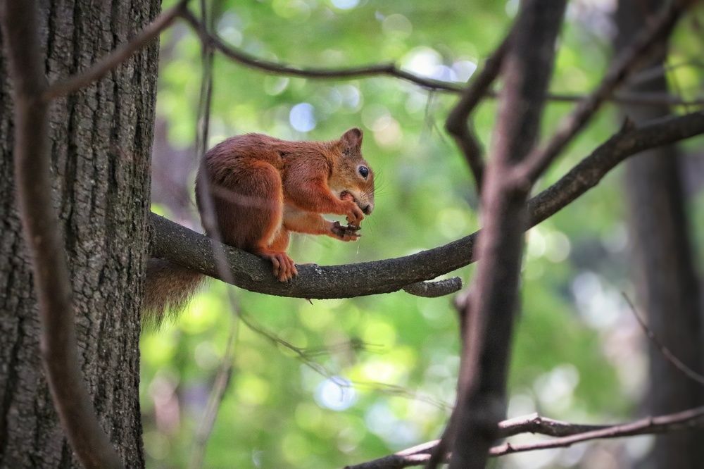 Photograph by Ирина Галеева