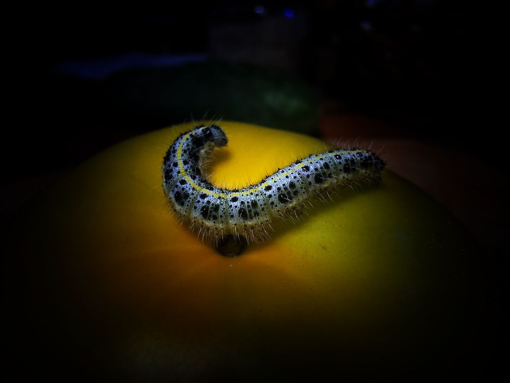 Photograph by Мария Колоскова