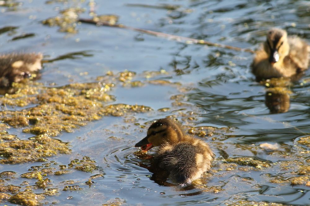 Photograph by Наталья Жигарева