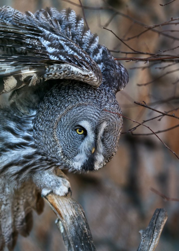 Photograph by Олег Богданов