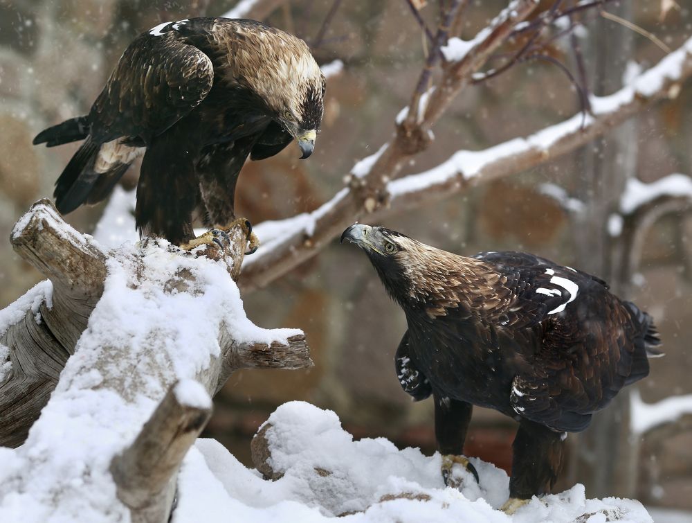 Photograph by Олег Богданов