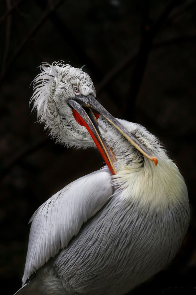 Photograph by Олег Богданов