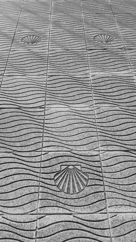 Photograph by Ольга Хомякова