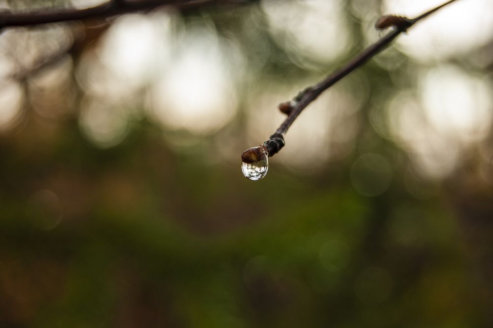 Photograph by Юлия Иванова