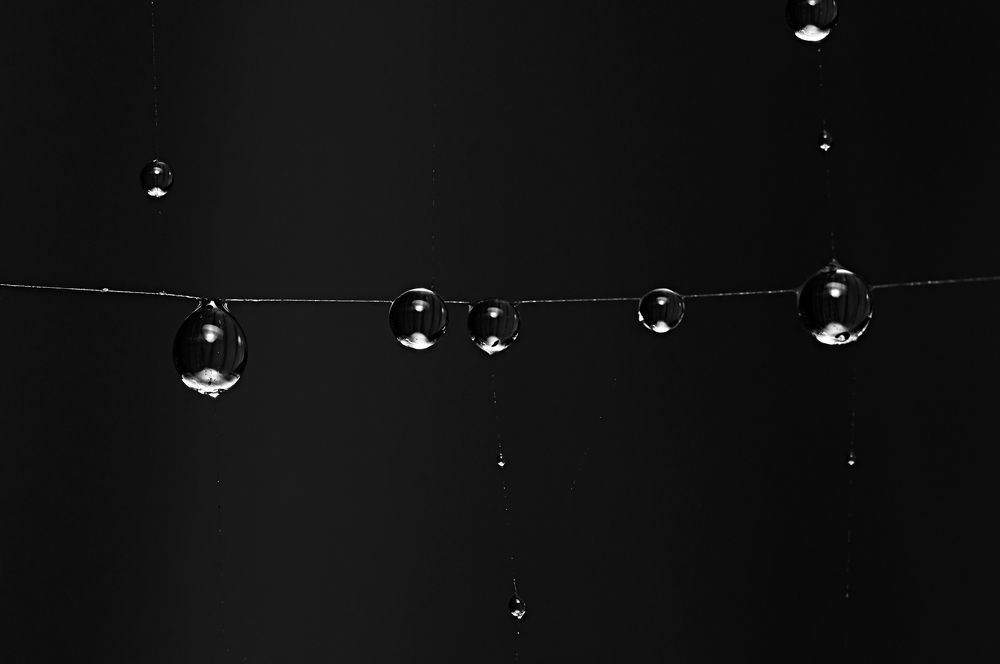 Photograph by Тараненко Анжелика