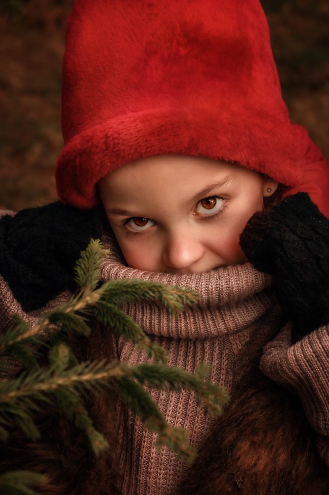 Гномик Лиза