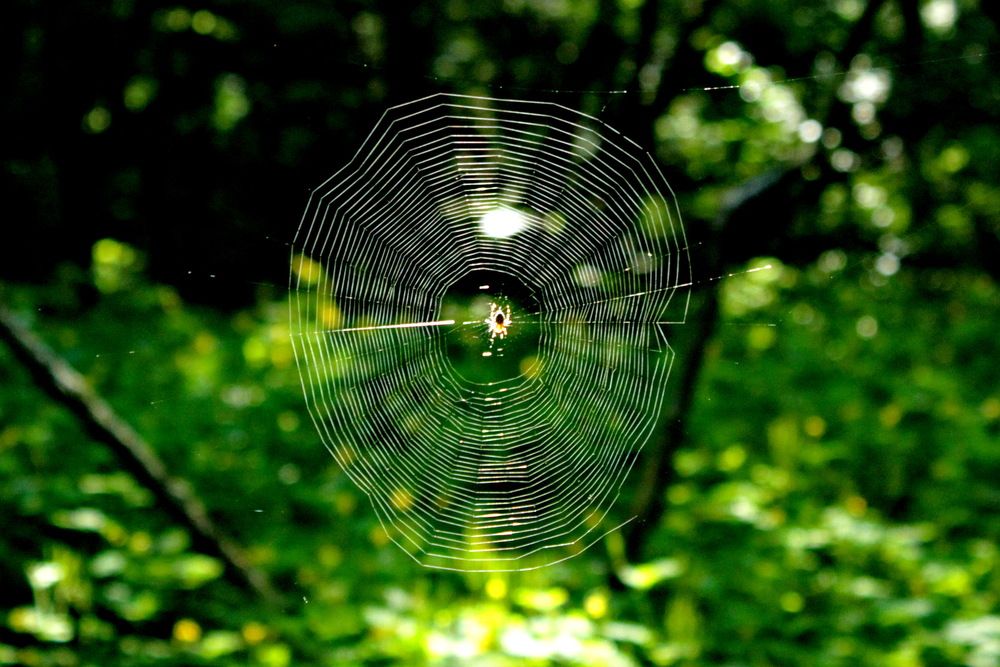 Photograph by Николай Николаевич Леухин