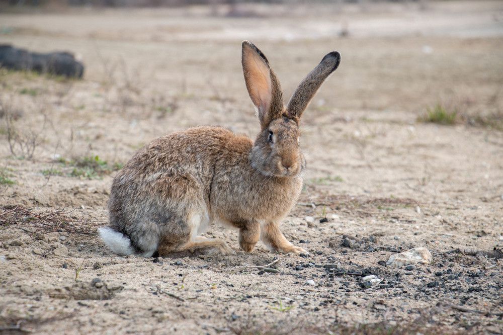 Photograph by Татьяна Ярмак