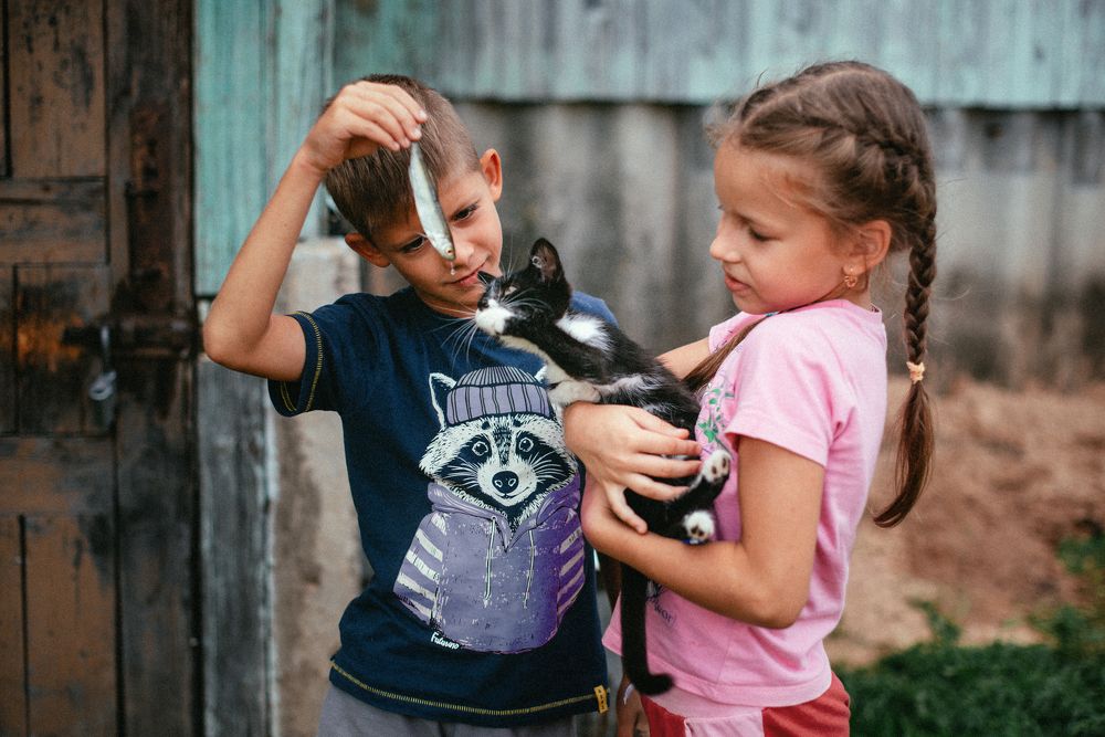 Photograph by Витковский Андрей