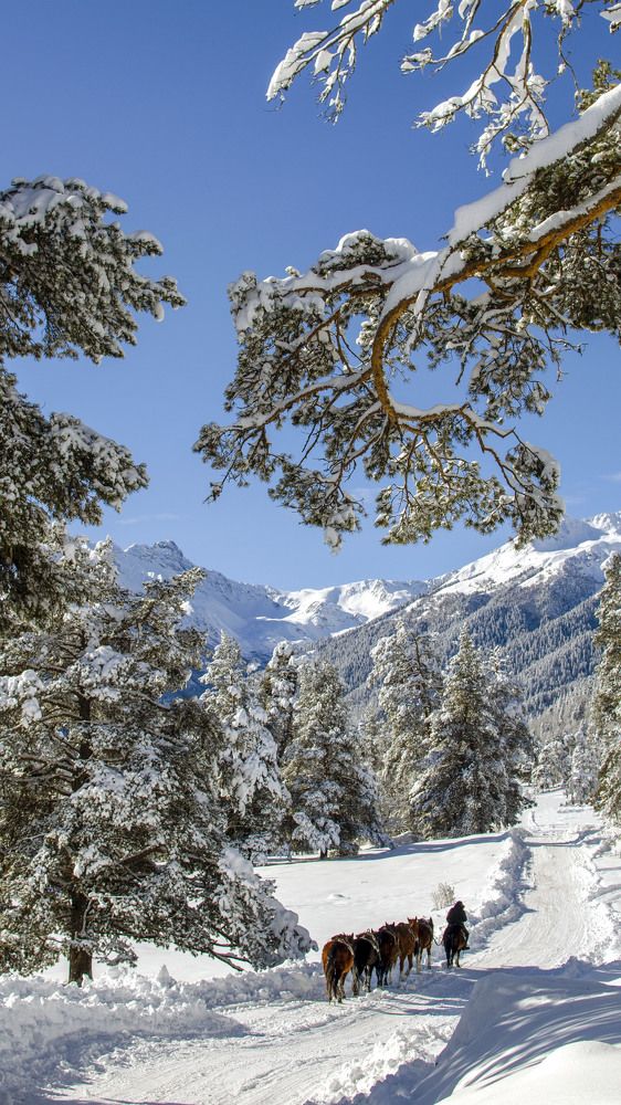 Photograph by alfa123