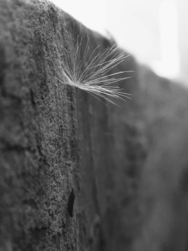 Photograph by Светлана