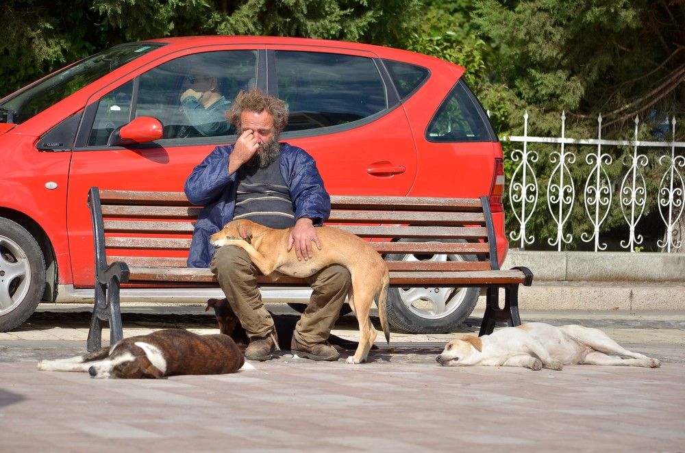 Photograph by Пихенько Иван