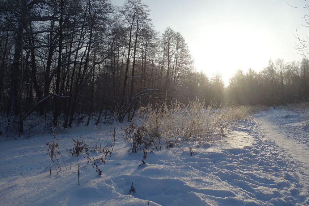 Photograph by Дарья Гришина