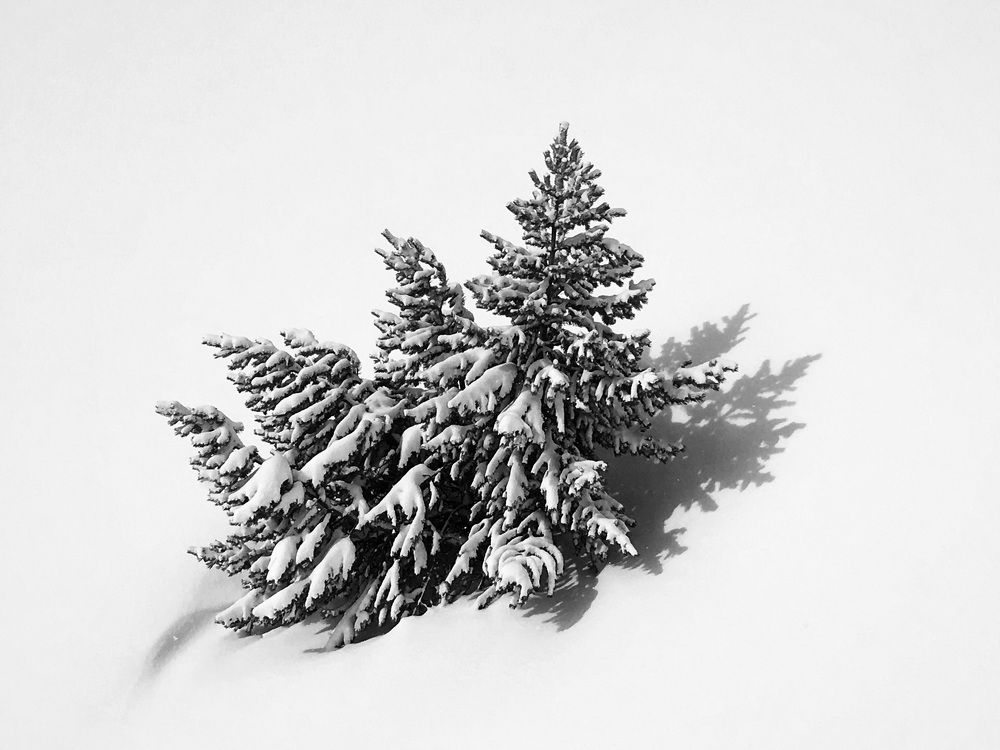 Photograph by Ombeline Olmer