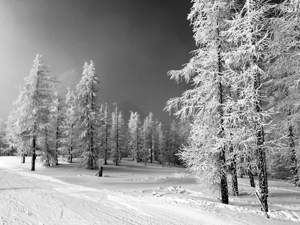 Photograph by Ombeline Olmer