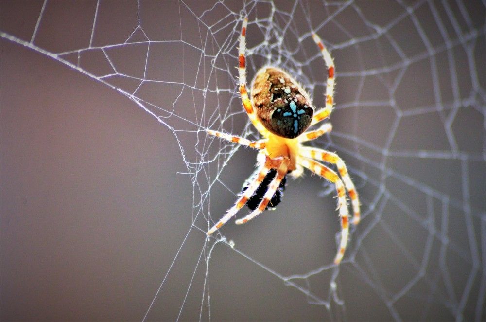 Photograph by Пихенько Иван