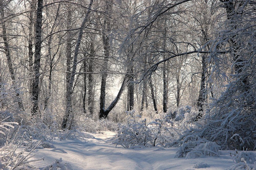 Photograph by Александр Шадраков