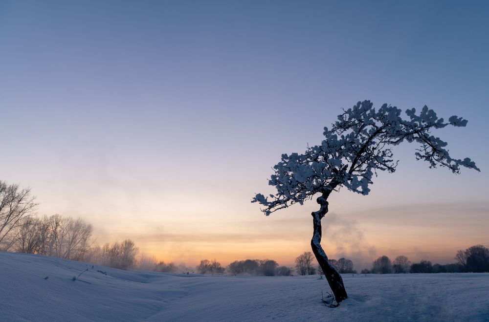 Photograph by Сергей Шерстнев