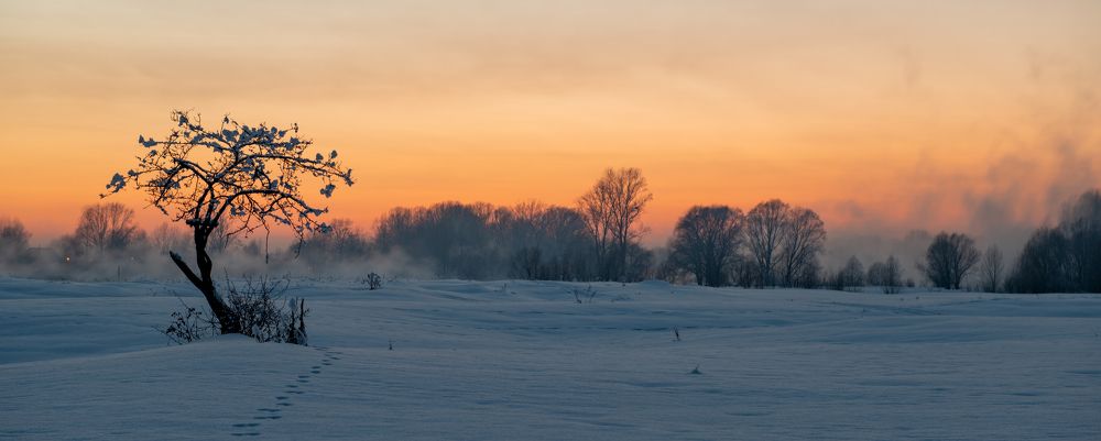 Photograph by Сергей Шерстнев
