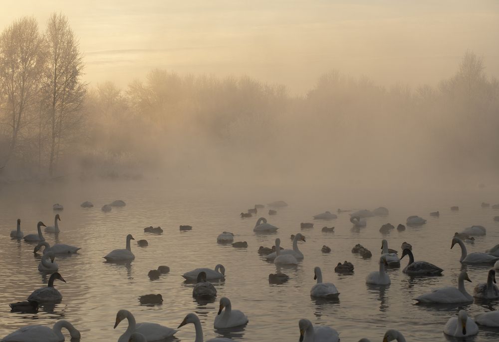 Photograph by Сергей Шерстнев