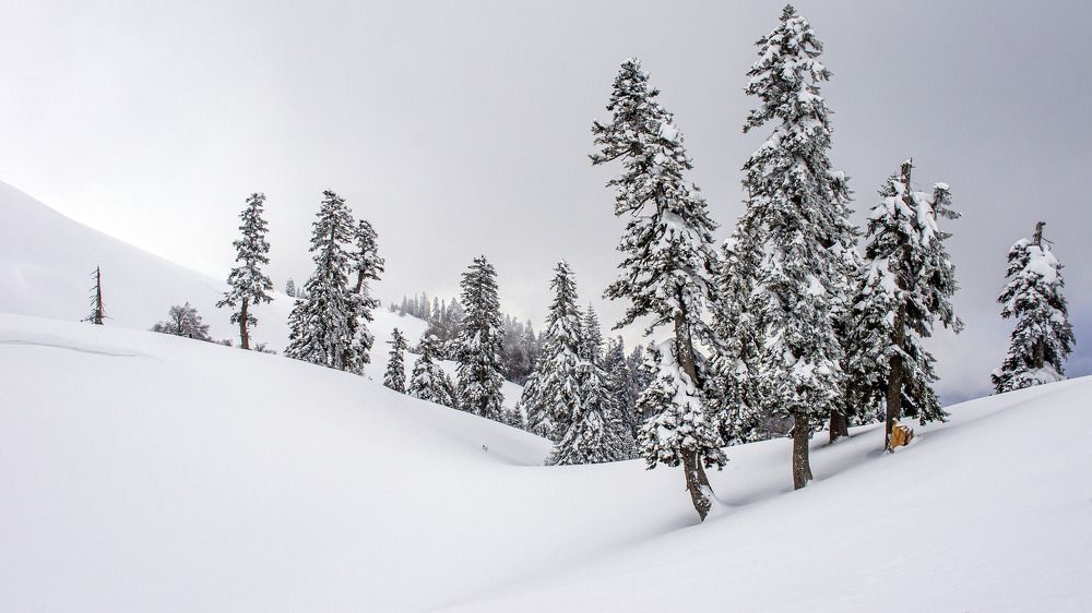 Photograph by alfa123