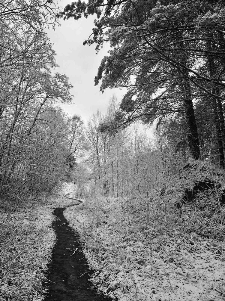 Photograph by Юлия Брежнева