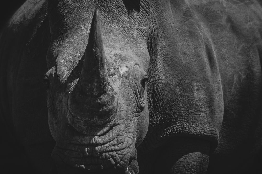 Photograph by Дмитрий Николаев