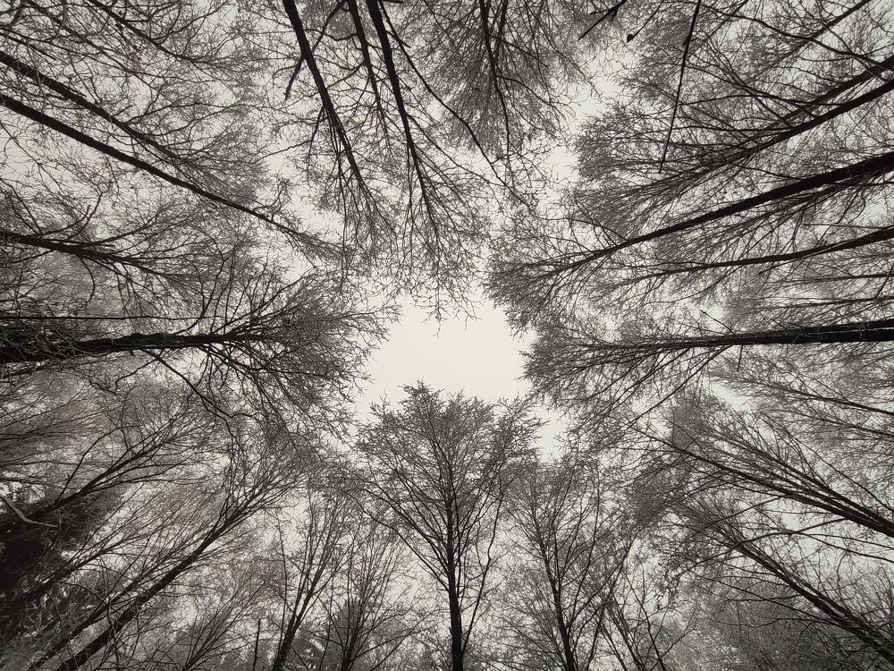 Photograph by Оксана Бутрим