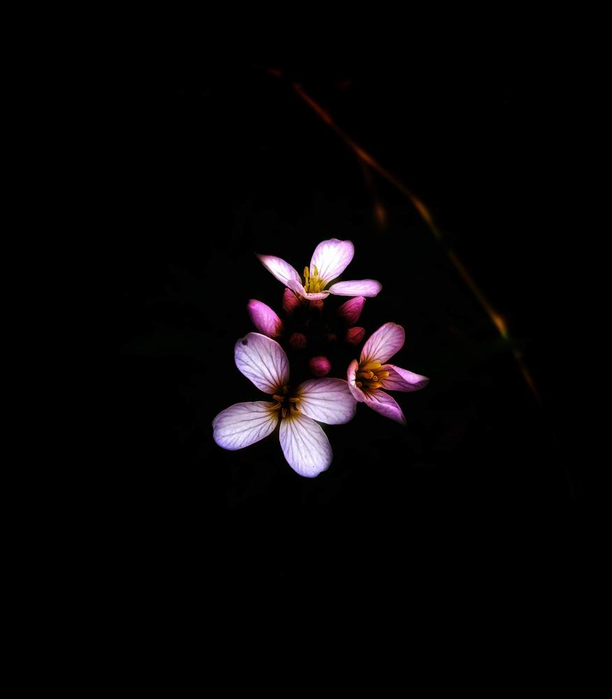 Photograph by Veronica Kravchonok