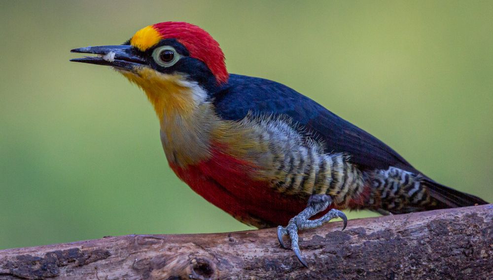 Photograph by Edgardo Izcovich