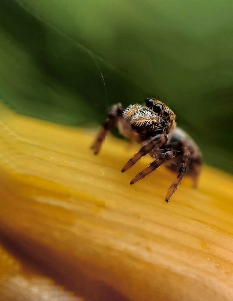 Photograph by Любовь Войтишина