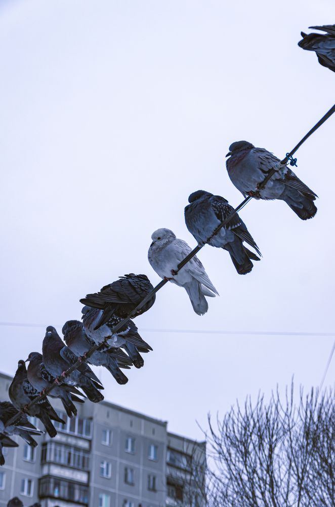 Photograph by Кирилл Шарапов