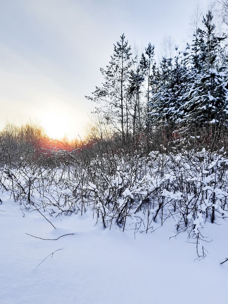 Photograph by Любовь Войтишина