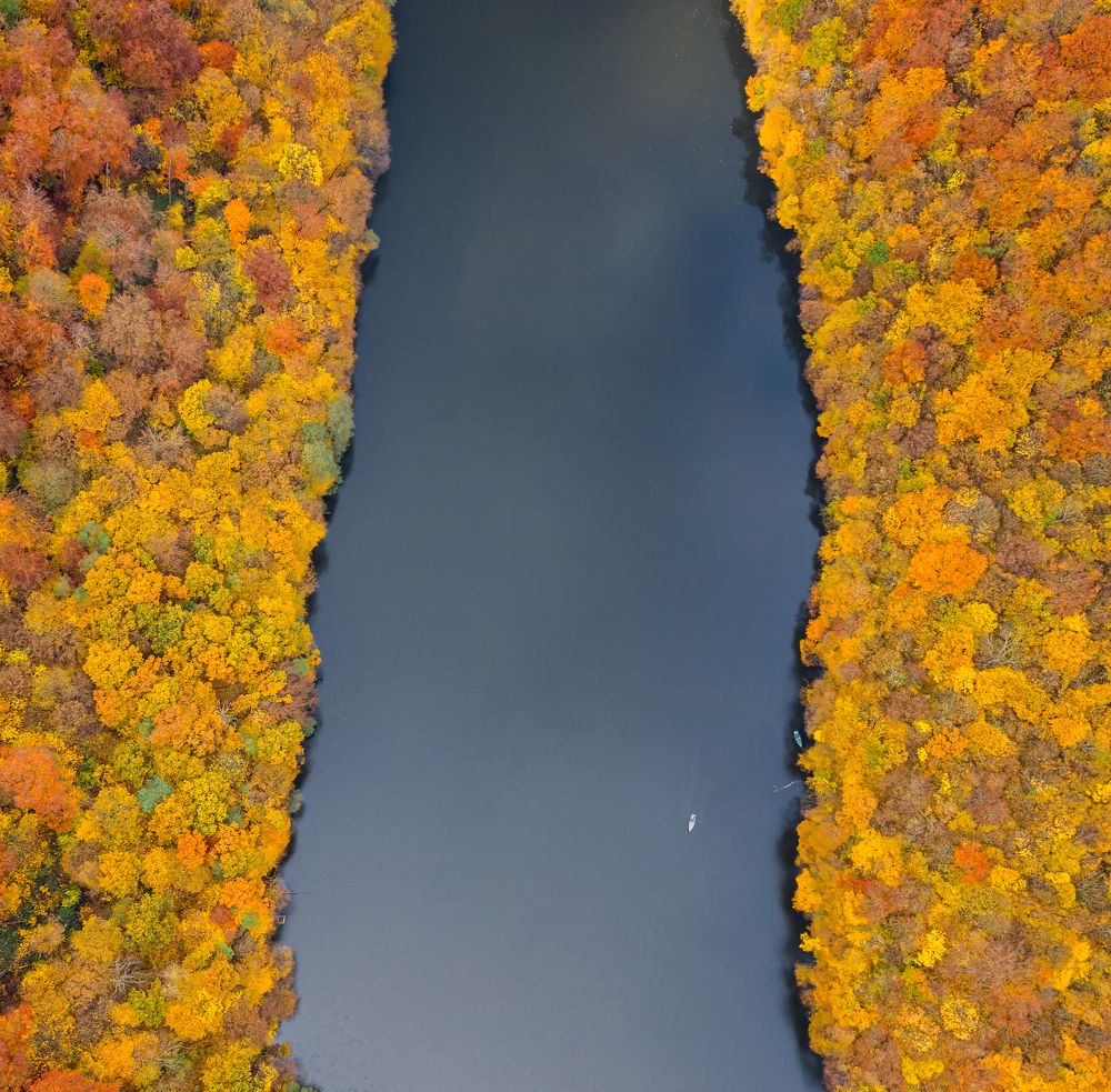 Photograph by Вовк Сергей