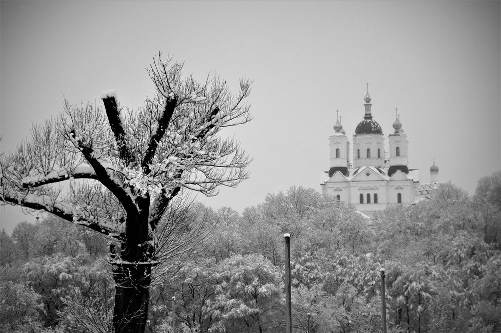 Photograph by Пихенько Иван