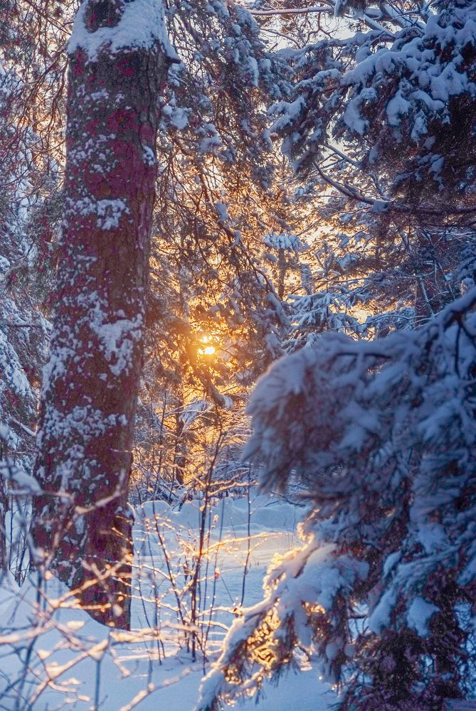 Photograph by Евгений Глазунов