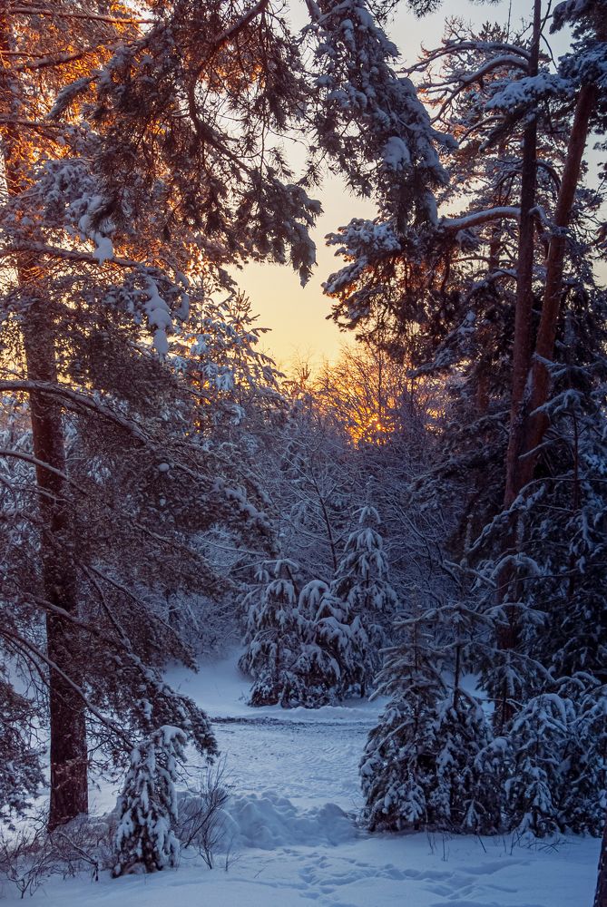 Photograph by Евгений Глазунов