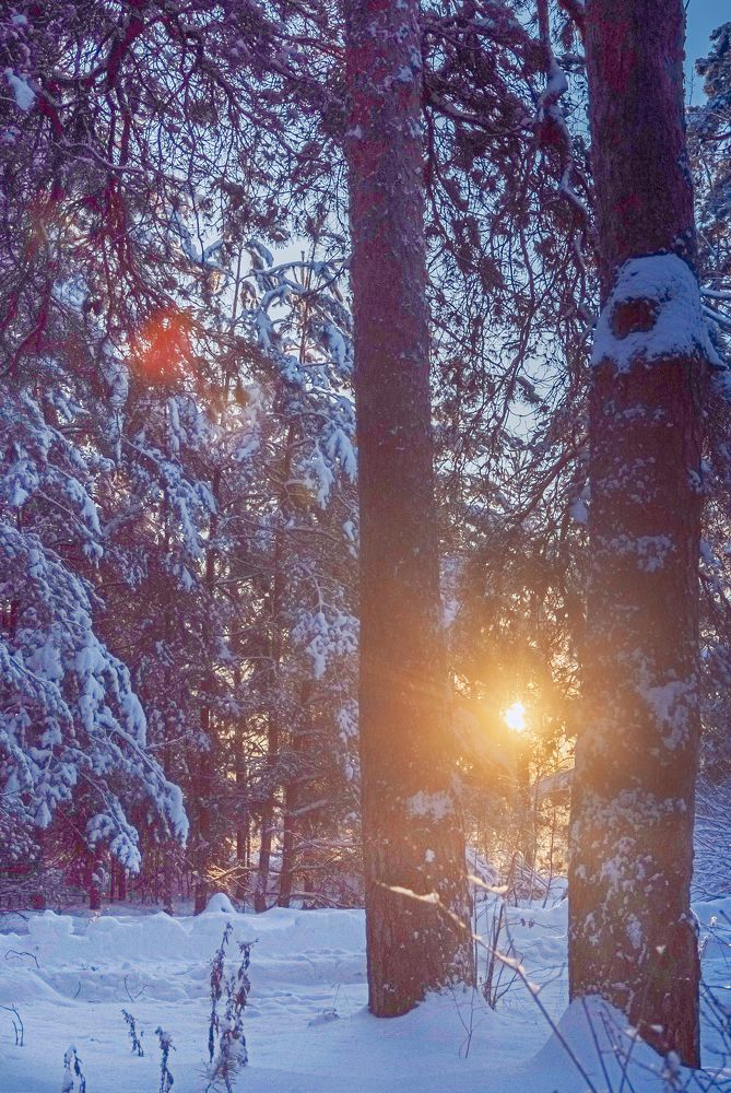 Photograph by Евгений Глазунов