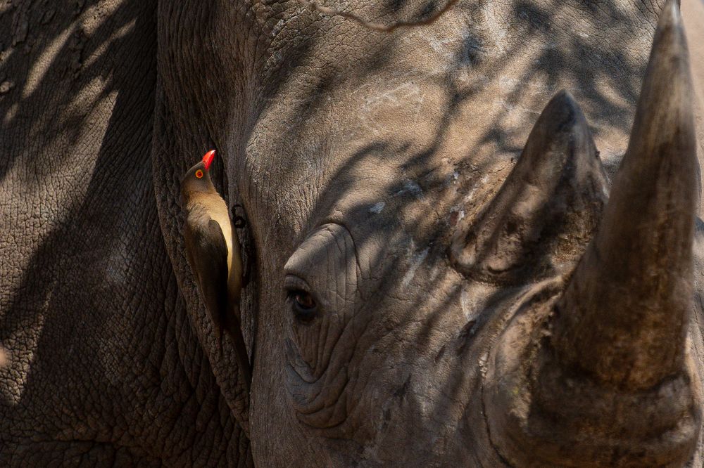 Photograph by Дмитрий Николаев