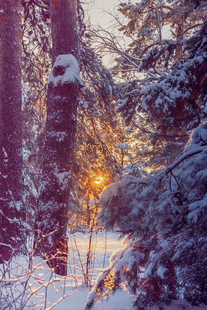 Photograph by Евгений Глазунов