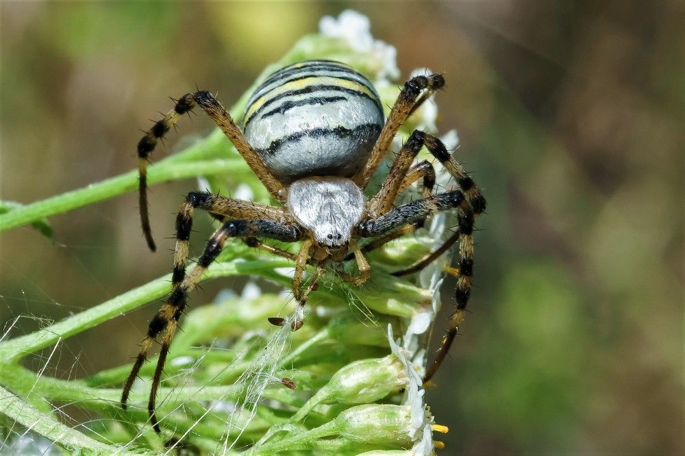 Фотография автора Николай Бологов