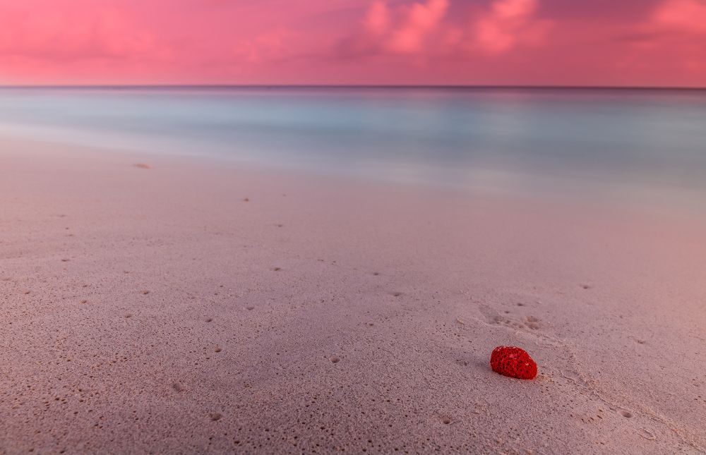 Photograph by Вовк Сергей