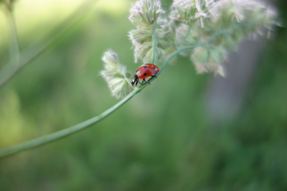 Photograph by Дарья Гришина