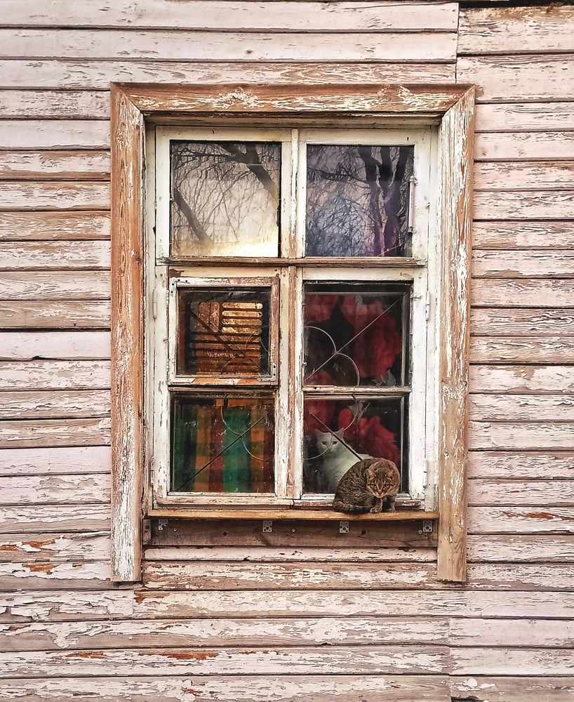 Photograph by Мария