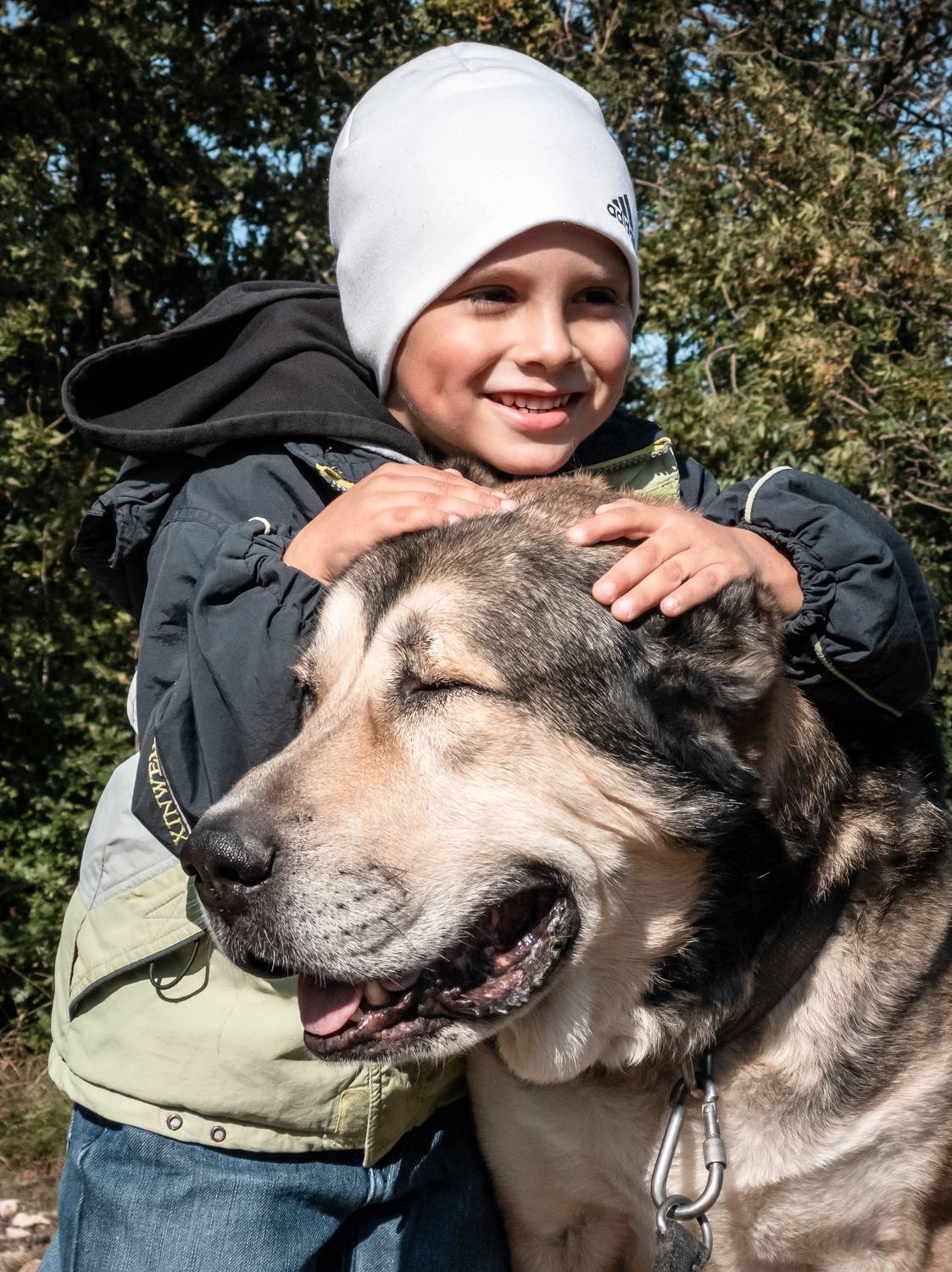 Photo #7148718