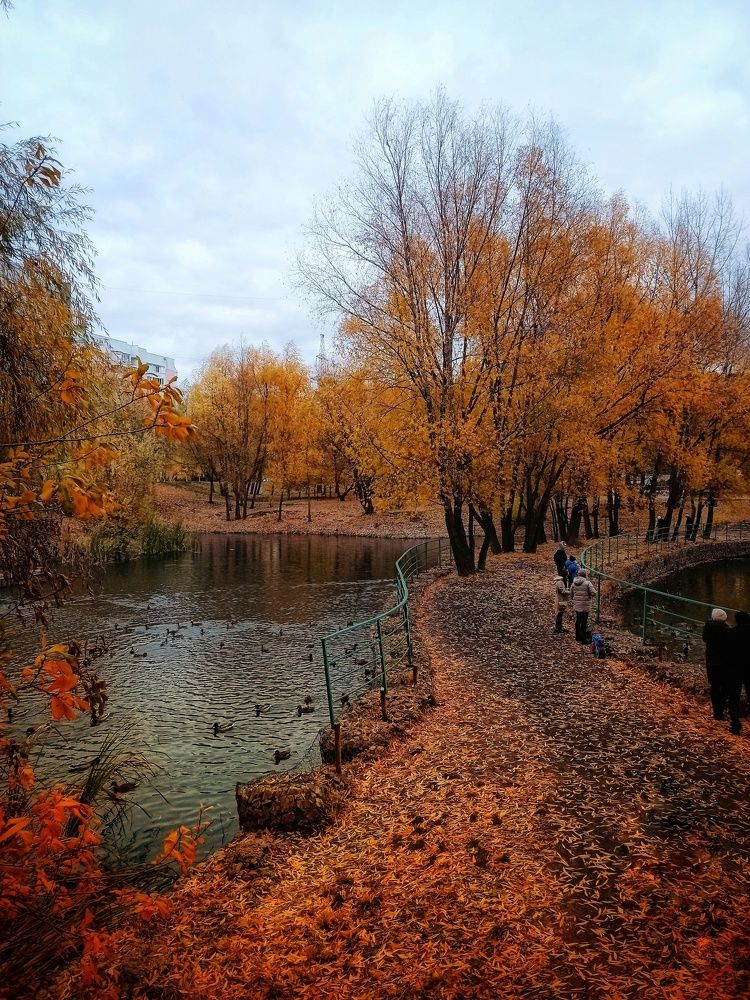 Photograph by Elena Bogomolova