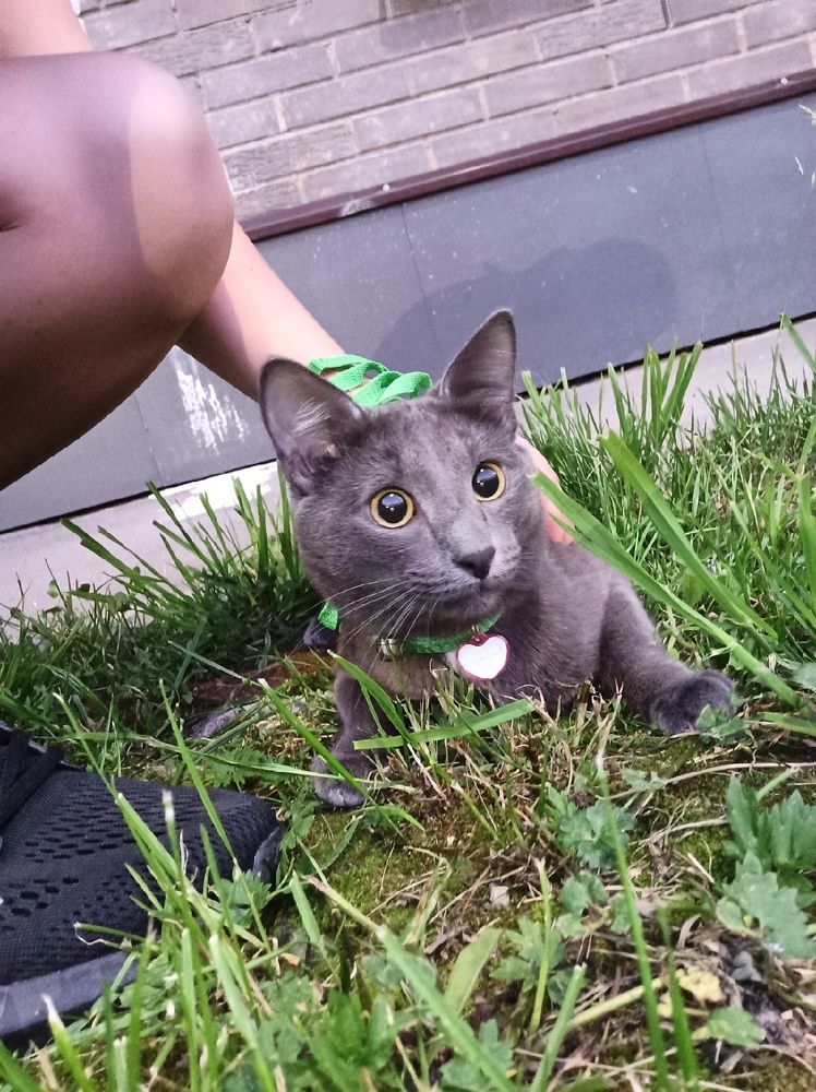 Photograph by Александр Федичкин